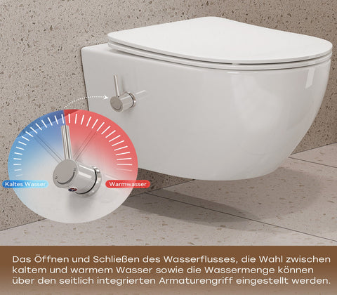 HOROW HB-L01U Dusch-WC