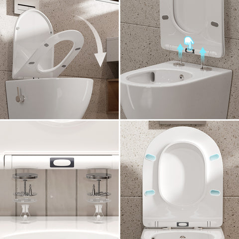 HOROW HB-L01U Dusch-WC