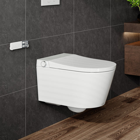 HOROW S70 Smart Wand-WC