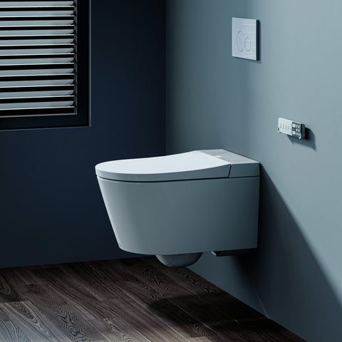 HOROW S70 Smart Wand-WC