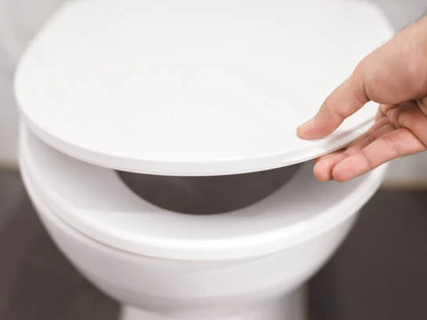 wc sitz