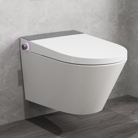 Intelligentes Dusch-WC - Bidet, Nachtlicht, Einstellbare Temperatur