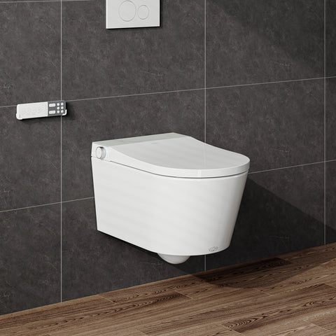 HOROW S70 Smart Wand-WC