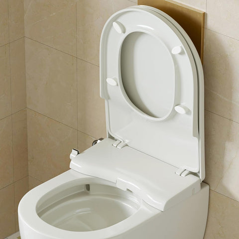 WC-Sitz mit Bidet-Funktion - Doppel-Düsen, ohne Strom, Absenkautomatik