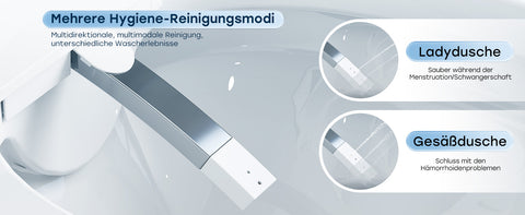 HOROW G10 Smartes Wand-WC mit Bidet, Fernbedienung usw.